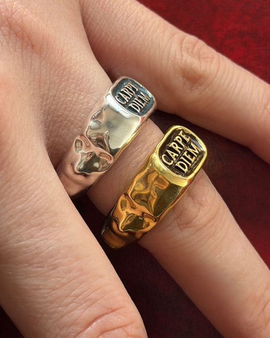 Carpe Diem Rings worn in silver and gold