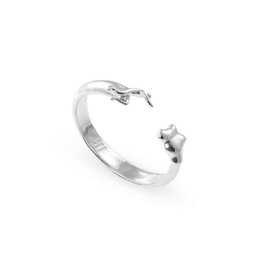 Dreamchaser Ring