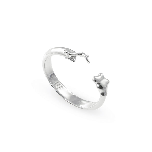Dreamchaser Ring