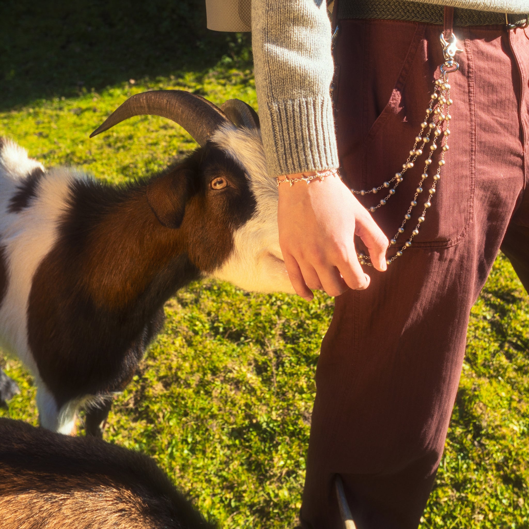 Baby Goat Bracelet