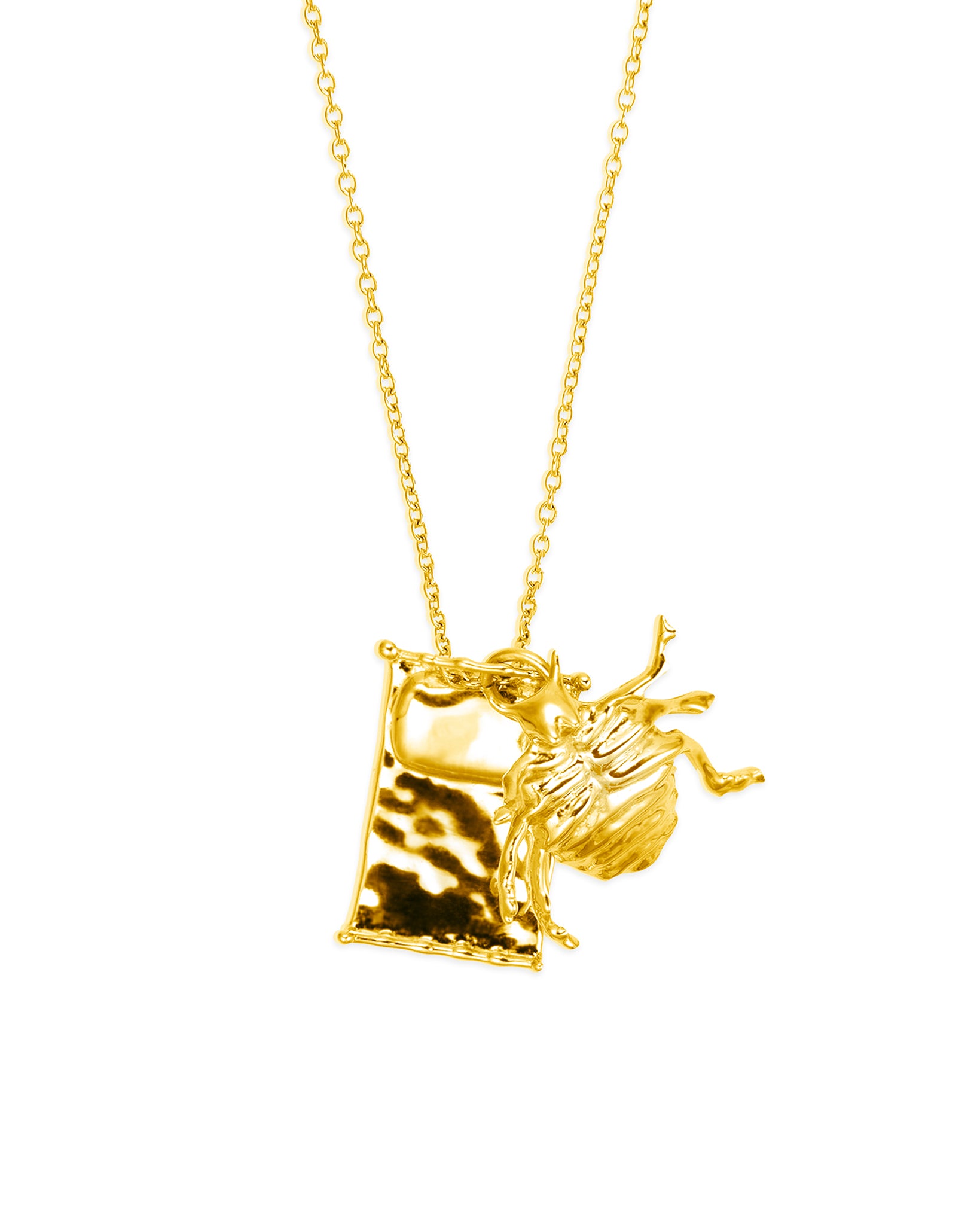 Gregor Samsa Necklace product photography in gold