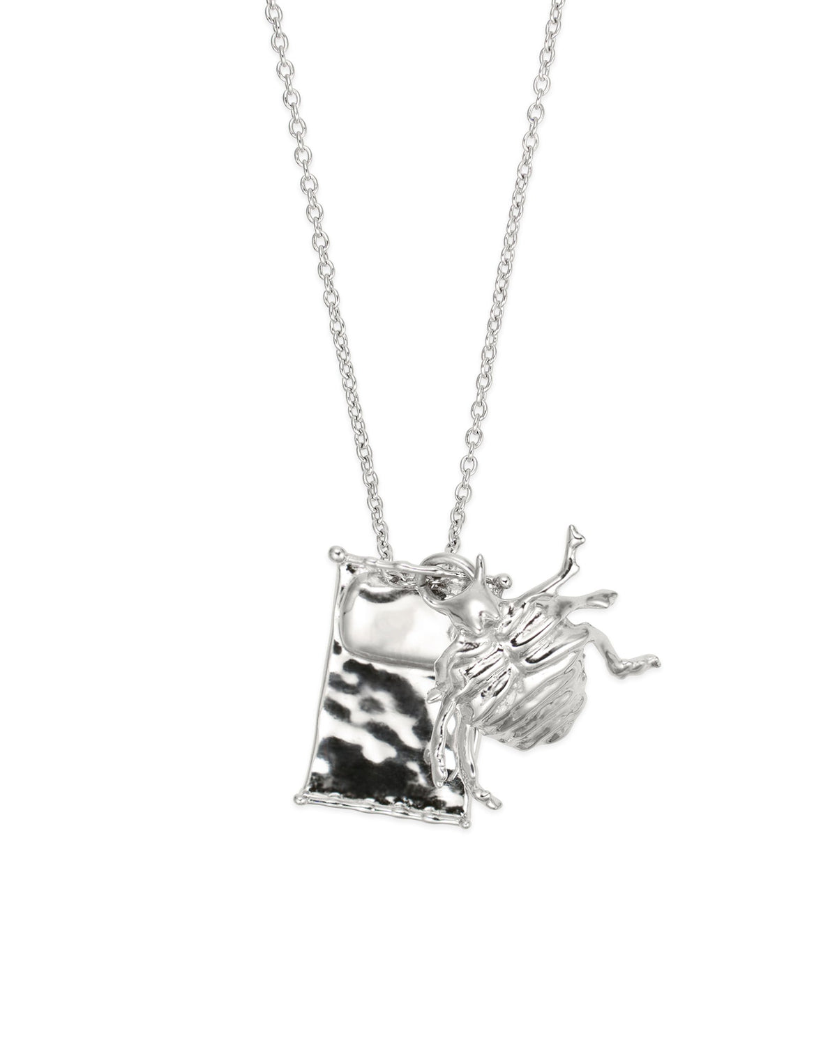 Gregor Samsa Necklace product photography in silver