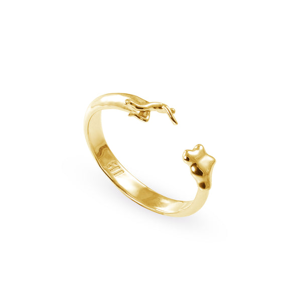 Dreamchaser Ring